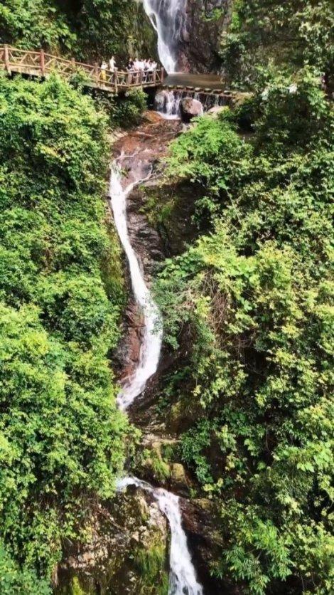逗小猴开心系列191